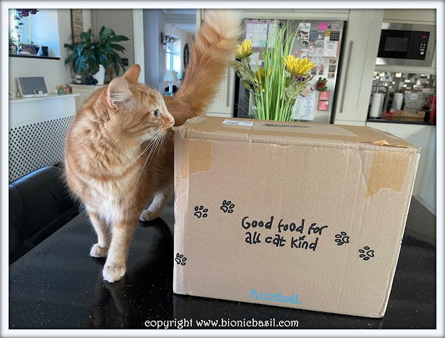 What's In The Box ©BionicBasil® Fuzzball Subscription Cat Food