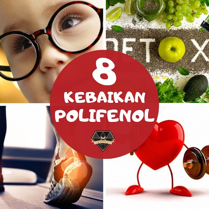 8 Kebaikan Polifenol Untuk Kesihatan