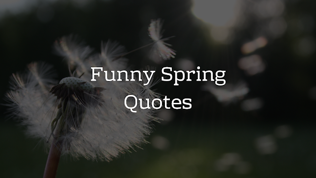 Funny Spring Quotes - Brain Hack Quotes