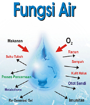 Air Minum Terbaik Air untuk tubuh manusia