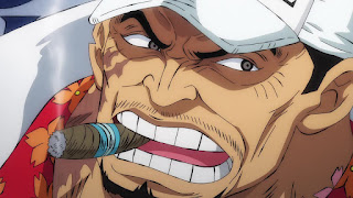 ワンピースアニメ サカズキ SAKAZUKI  赤犬 あかイヌ Akainu 海軍本部元帥 ONE PIECE Fleet Admiral