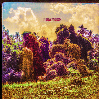 Polymoon "Caterpillars of Creation"2020 + "Chrysalis" 2023 Finland Cosmic Prog,Psych,Space-Rock