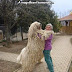That’s A Really Big Mop