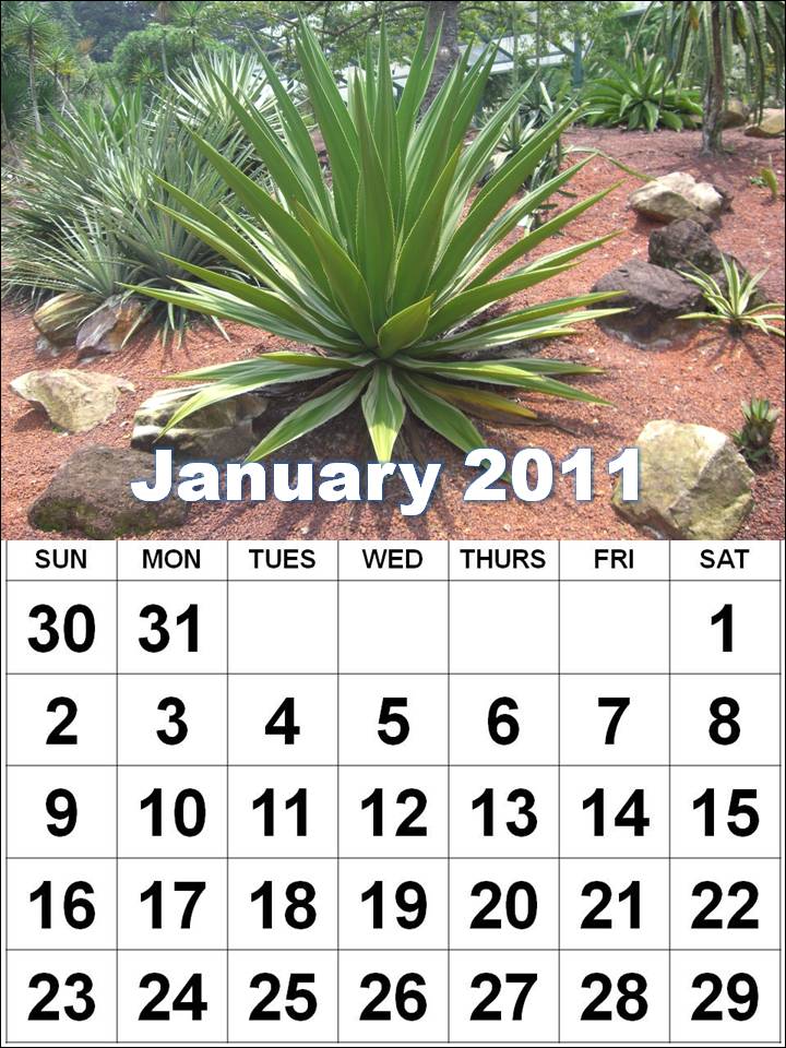 calendar january 2011. calendar january 2011.