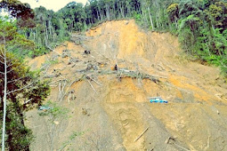 Kabupaten Pegunungan Arfak Butuh Rp269 Miliar Pulihkan Bencana