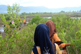 Trekking mangrove di Bagek Kembar