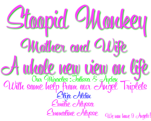 Stoopid Monkey - Mother and Wife trying to cope with loss