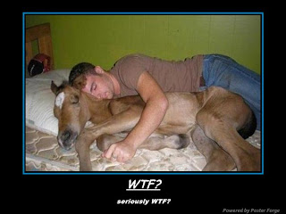 wtf, man sleeping with a deer, funny pictures