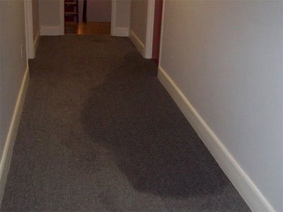 In a carpeted hallway, you can see a huge dark area on the light brown carpet, indicating a water leak