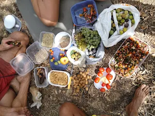 Tomatoes, grapes, figs as salad seeds in plastic cans on the ground and three people kneel around them.