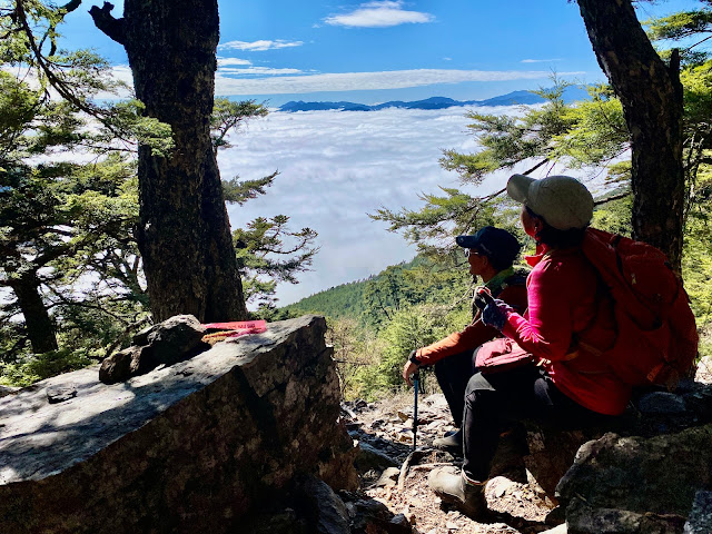 往溪頭山