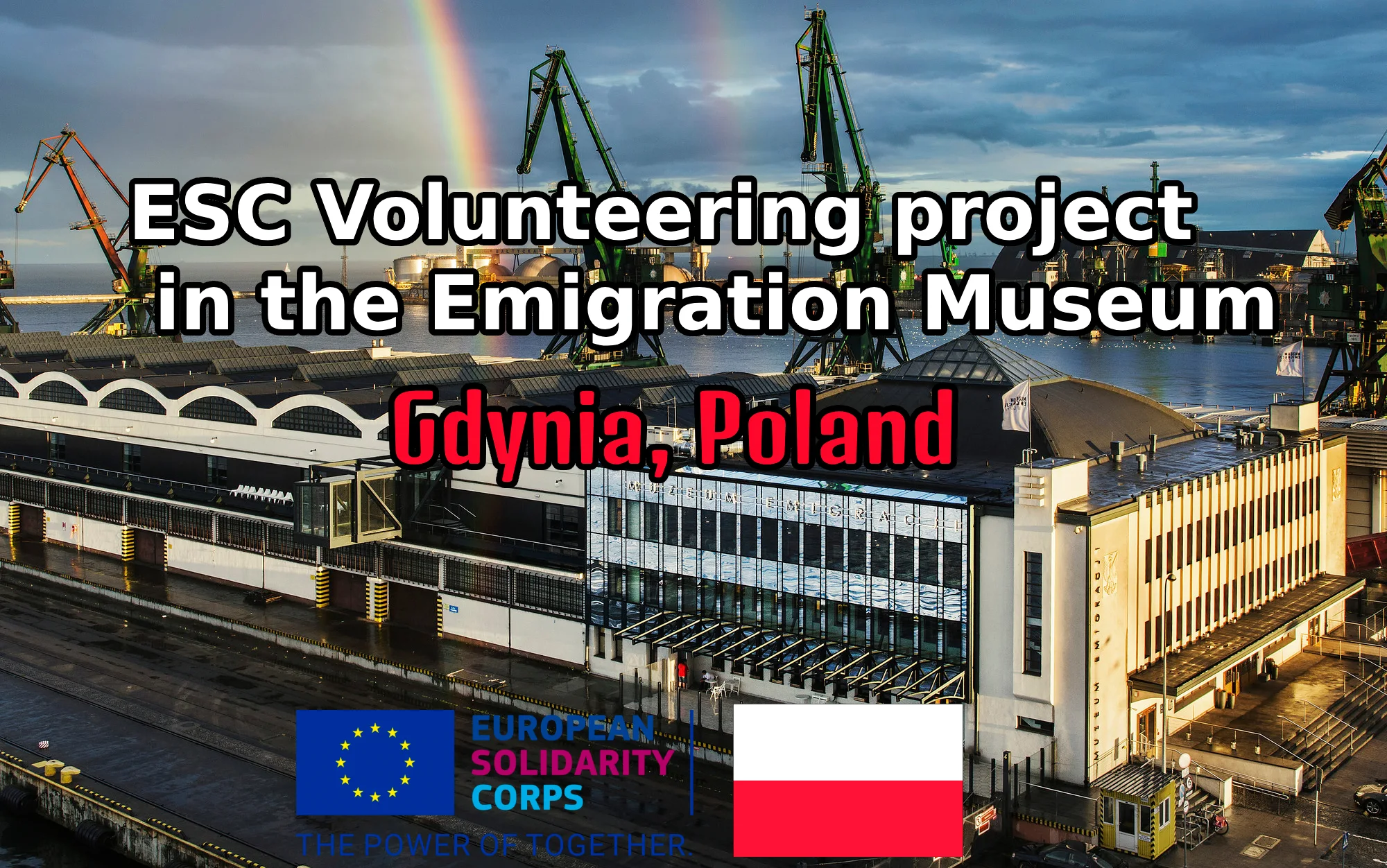 One month Volunteering Project in the Emigration Museum in Gdynia, Poland (Fully Funded)