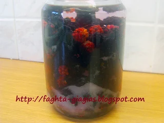 Τα φαγητά της γιαγιάς - Λικέρ βατόμουρο (blackberry)