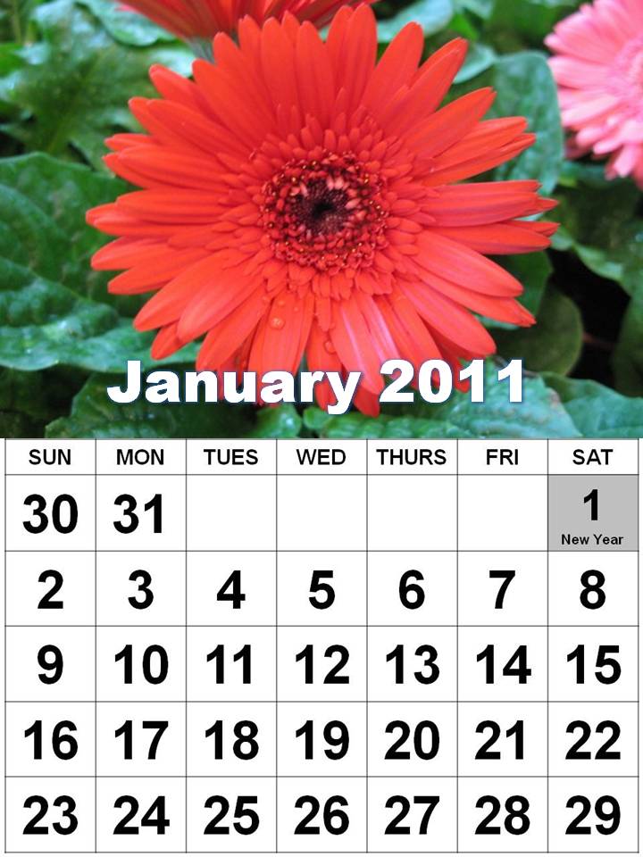 2011 calendar with holidays printable. house 2011 calendar template