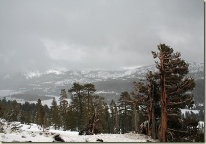winter
