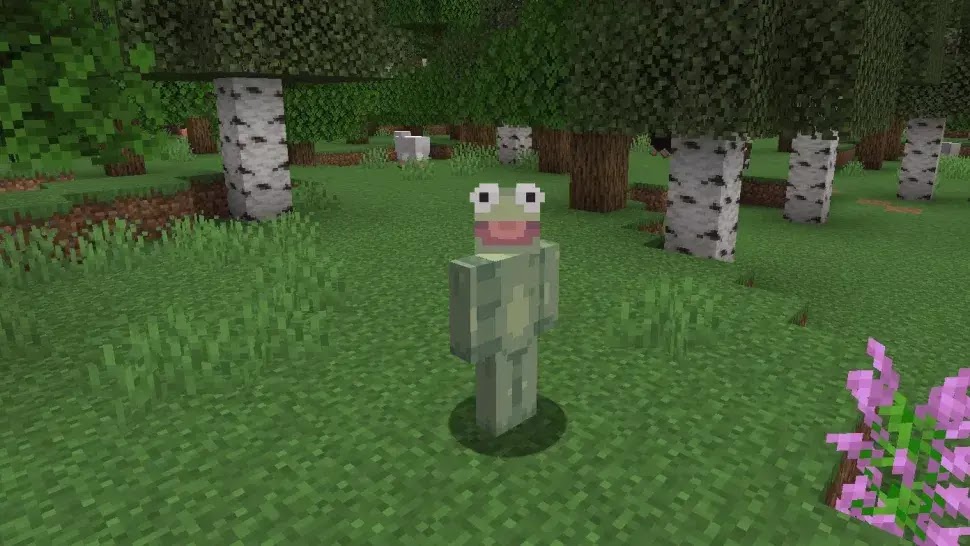 سكن الضفدع Kermit the Frog