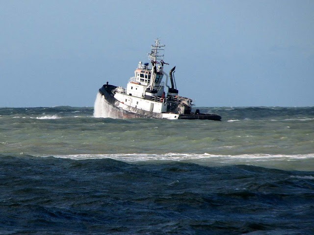 Piero Neri tugboat, IMO 9351713, Livorno