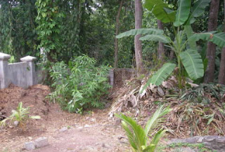 Composting, La Ceiba, Honduras