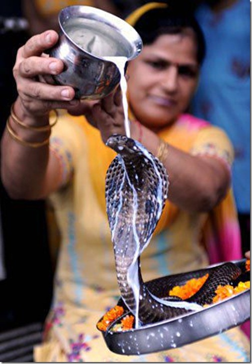meanwhile_in_india_640_high_37