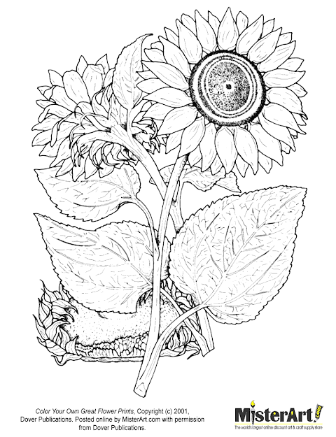 Free Coloring Page Color Your Own Great Flower Prints Coloring Book 