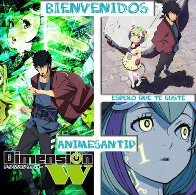 Dimension W MF