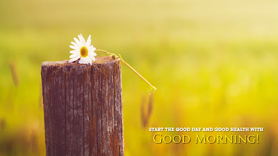  Good Morning hd  images/Good morning hd wallpaper/Good morning hd photos/Good morning hd picks