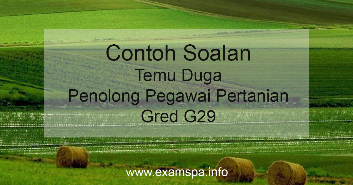 Contoh Soalan Temu Duga Penolong Pegawai Pertanian Gred 