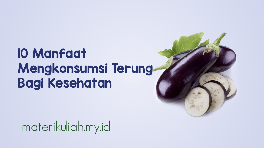10 Manfaat Mengkonsumsi Terung Bagi Kesehatan