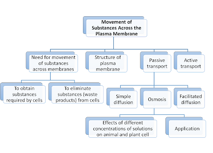 SPM Biology 3 Movement of Substances Across the Plasma Membrane Mind Map
