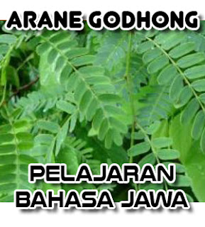 Arane Godhong, sebutane godong, Pelajaran Bahasa Jawa, daftar nama daun dalam bahasa jawa, pelajaran sekolah, sekolah dasar, pepak boso Jowo, belajar bahasa jawa, kumpulan, rangkuman, istilah jawa