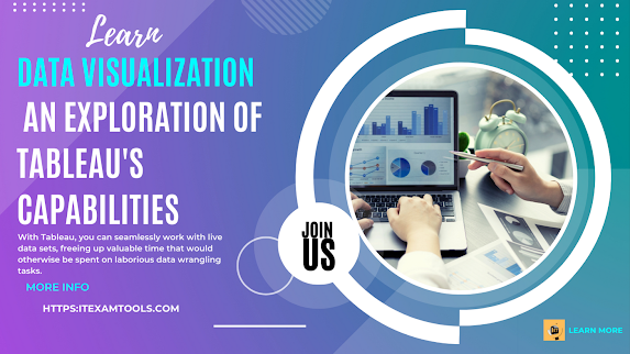 Data Visualization: An Exploration of Tableau's Capabilities