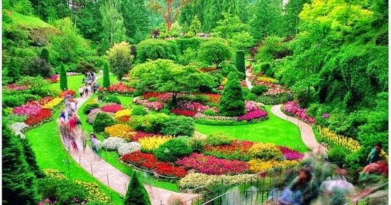 Dunia Gadis Pelangi Butchart Gardens Taman  Bunga  