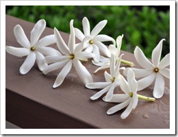 tiare-flowers