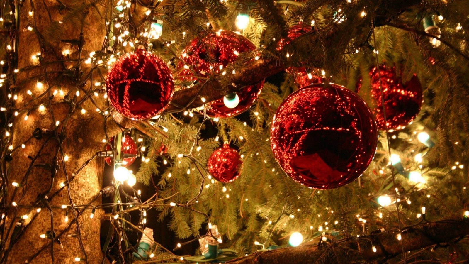 Gambar Pohon Natal Lengkap Kumpulan Gambar Lengkap Gambarlin