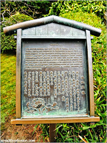 Buda, Japanese Tea Garden: San Francisco