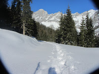 Winterwandern_mit_Blick_auf_die_Berge