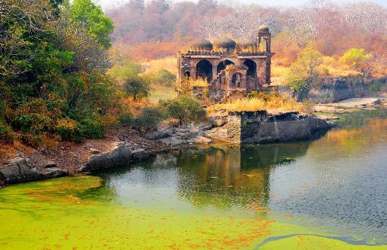 ranthambore 