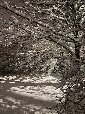 winter snow in Halifax