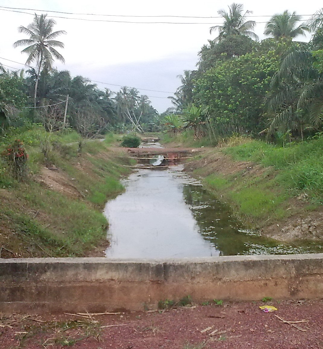 SUATU PEMERHATIAN, SEBUAH CATATAN: BALIK KAMPUNG