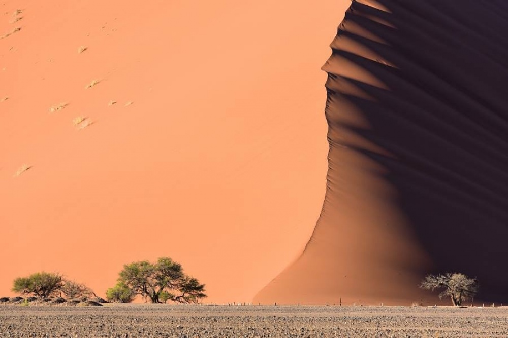 The 100 best photographs ever taken without photoshop - The sea-like dunes of the Namib Desert