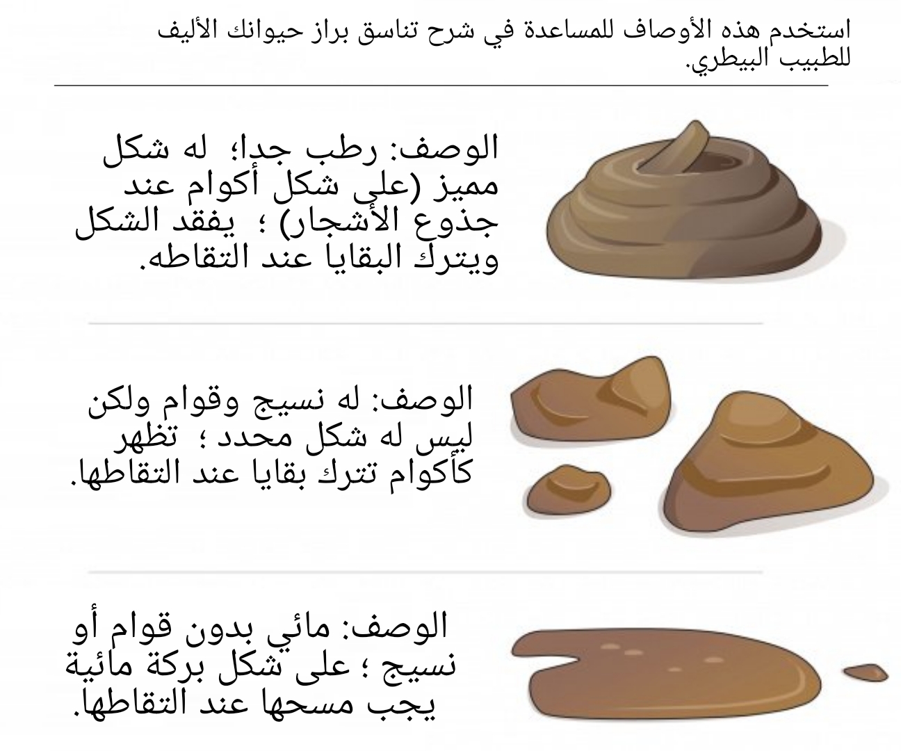 الإسهال في القطط , أسبابه وعلاجه وتأثيراته على القطط