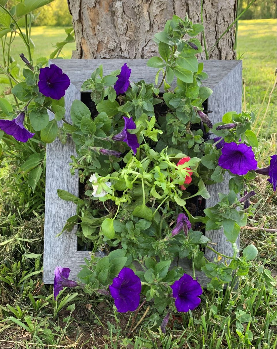 Instant Wall Planter by tree