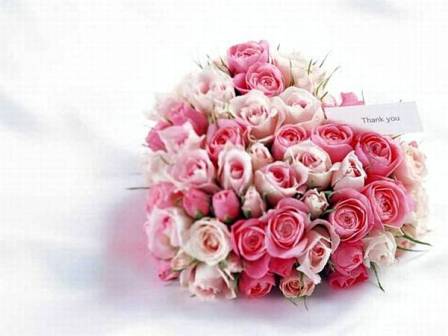 i love u rose wallpaper. GIFT WITH ROSE FOR YOUR LOVED