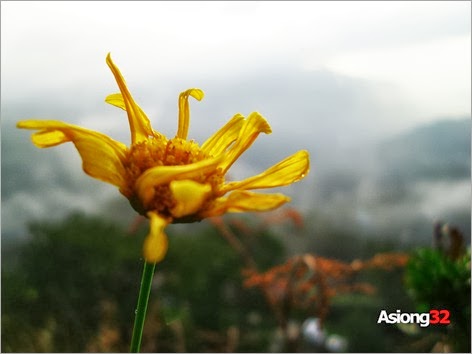 DSCI1304Asiong32
