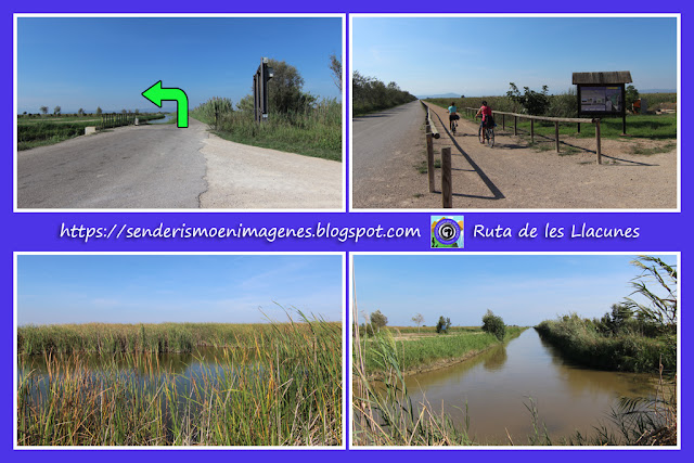 Delta de l'Ebre (Ruta de les Llacunes)