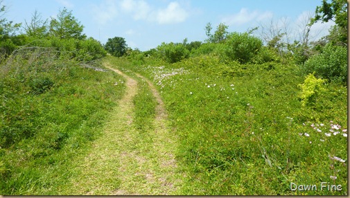 Boy scout woods and Smith Oaks_051