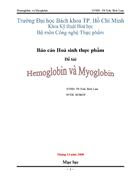  MYOGLOBIN