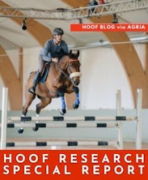 Hoof Research Report from Sweden