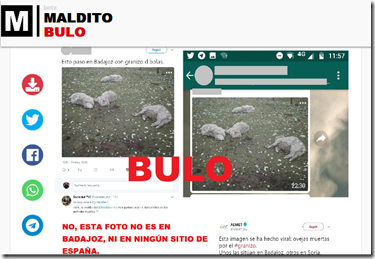 Screenshot-2018-6-3 No, esta foto de ovejas muertas por granizo no es de Badajoz ni de ningún otro sitio de España