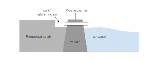 Cara membuat kolam ikan